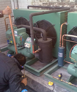 冷庫(kù)安裝實(shí)例